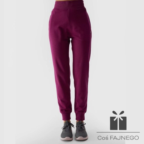 Spodnie 4F 4FWSS24TTROF606 51S, Rozmiar: M