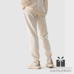 Spodnie 4F 4FWSS24TTROF665 12S, Rozmiar: L