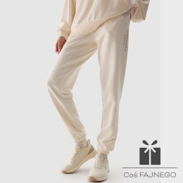 Spodnie 4F 4FWSS24TTROF665 12S, Rozmiar: S