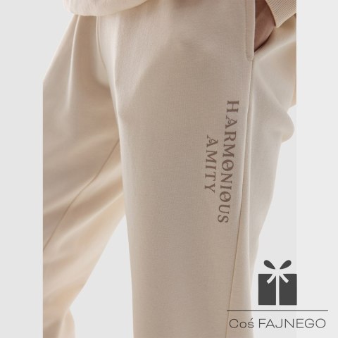 Spodnie 4F 4FWSS24TTROF665 12S, Rozmiar: S