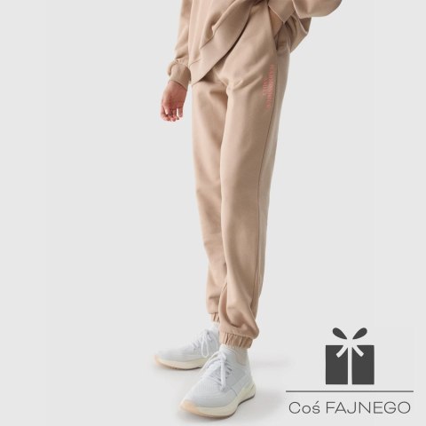 Spodnie 4F 4FWSS24TTROF665 83S, Rozmiar: XL