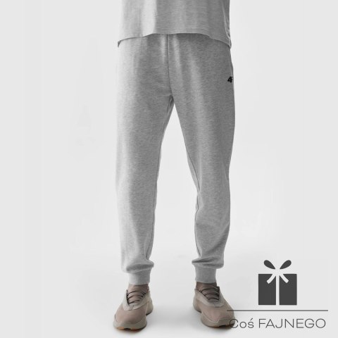 Spodnie 4F 4FWSS24TTROM603 27M, Rozmiar: XXL