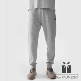 Spodnie 4F 4FWSS24TTROM603 27M, Rozmiar: XL