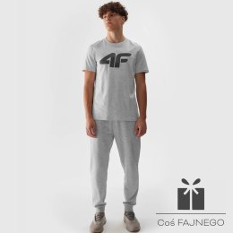 Spodnie 4F 4FWSS24TTROM603 27M, Rozmiar: XL