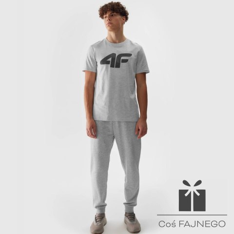 Spodnie 4F 4FWSS24TTROM603 27M, Rozmiar: XL