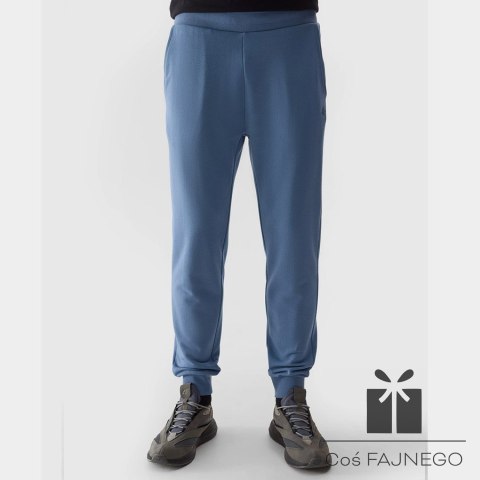 Spodnie 4F 4FWSS24TTROM603 32S, Rozmiar: XXL