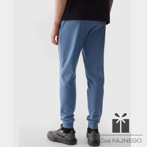 Spodnie 4F 4FWSS24TTROM603 32S, Rozmiar: M