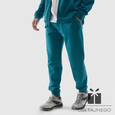 Spodnie 4F 4FWSS24TTROM603 46S, Rozmiar: S