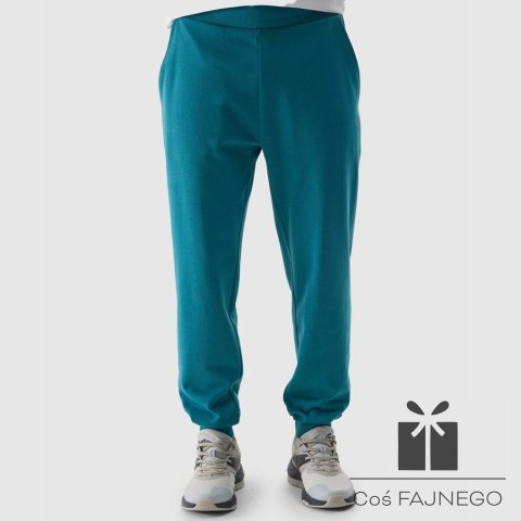 Spodnie 4F 4FWSS24TTROM603 46S, Rozmiar: S