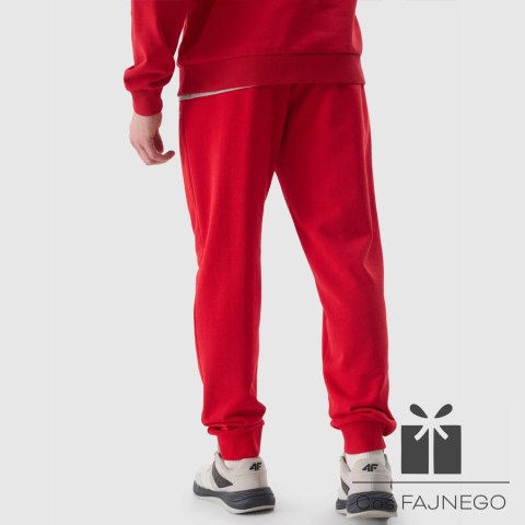 Spodnie 4F 4FWSS24TTROM603 61S, Rozmiar: XXL