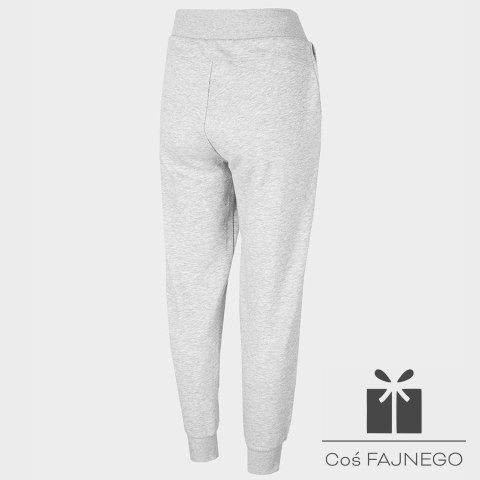 Spodnie 4F H4Z22-SPDD351 27M, Rozmiar: XXL