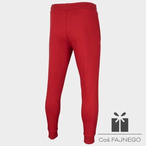 Spodnie 4F H4Z22-SPMD351 62S, Rozmiar: XXL