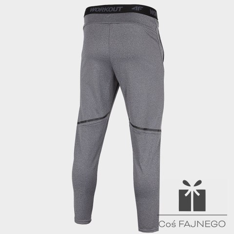 Spodnie 4F H4Z22-SPMTR010 23M, Rozmiar: S