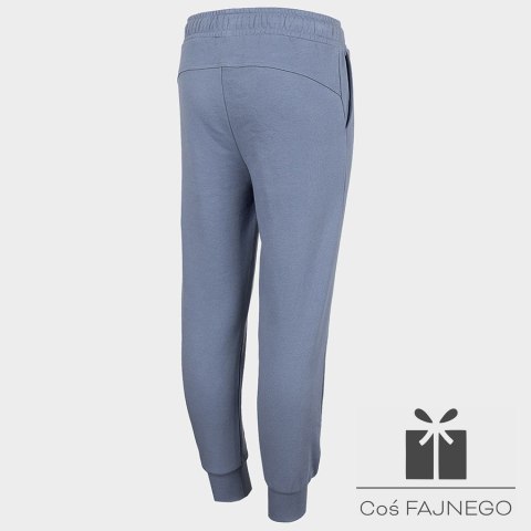 Spodnie 4F HJZ22-JSPDD001 32S, Rozmiar: 152 cm