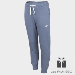 Spodnie 4F HJZ22-JSPDD001 32S, Rozmiar: 164 cm