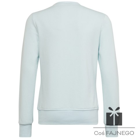 Bluza adidas Big Logo SWT HM8707, Rozmiar: 170 cm