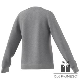 Bluza adidas Big Logo SWT girls IC6118, Rozmiar: 170 cm