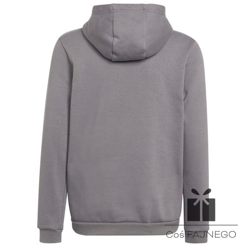 Bluza adidas ENTRADA 22 Hoody H57515, Rozmiar: 116 cm