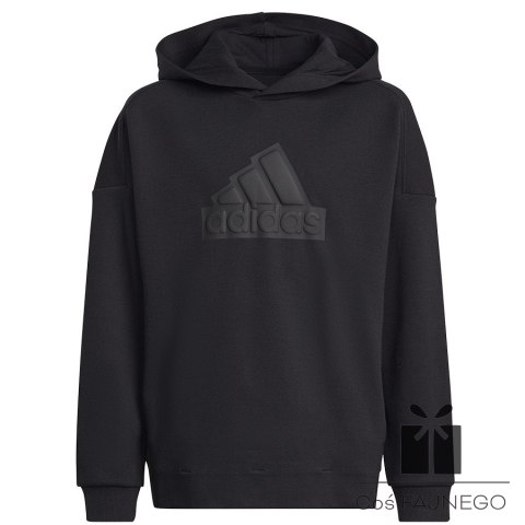 Bluza adidas FI Logo HD Jr HR6301, Rozmiar: 140 cm