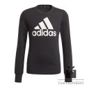 Bluza adidas Girls Essentials Big Logo Sweatshirts GP0040, Rozmiar: 140 cm