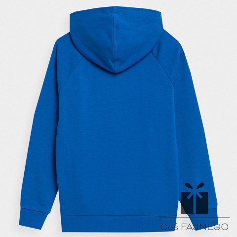 Bluza 4F 4FJSS23TSWSM220 36S, Rozmiar: 134 cm