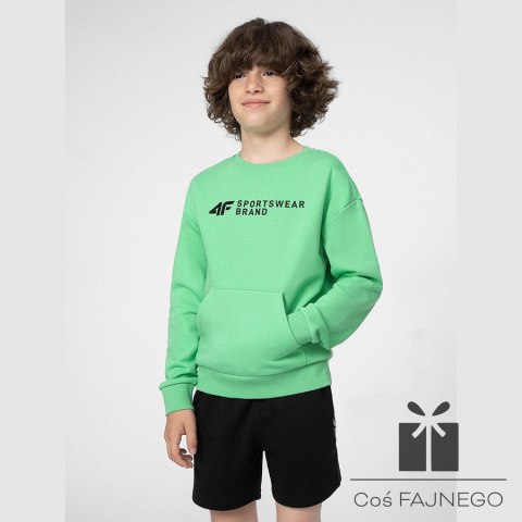 Bluza 4F 4FJSS23TSWSM222 45S, Rozmiar: 122 cm