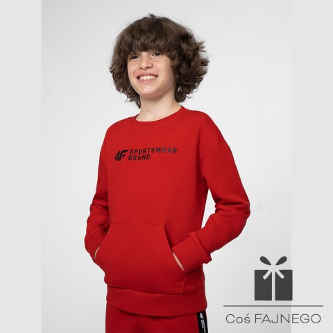 Bluza 4F 4FJSS23TSWSM222 62S, Rozmiar: 122 cm