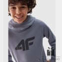 Bluza 4F 4FJWSS24TSWSM0925 34S, Rozmiar: 134 cm