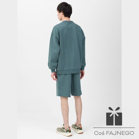 Spodenki 4F 4FWSS24TSHOM342 44S, Rozmiar: XL