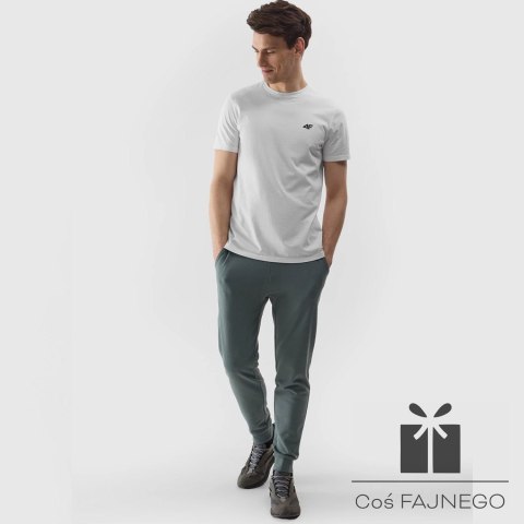 T-shirt 4F 4FWSS24TTSHM1154 10S, Rozmiar: XXL