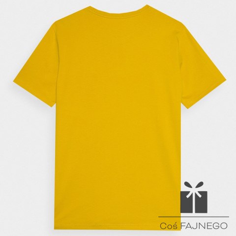 T-shirt 4F 4FWSS24TTSHM1156 71S, Rozmiar: XXXL