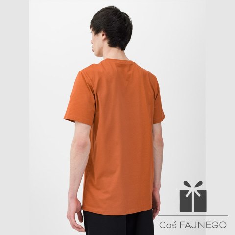 T-shirt 4F 4FWSS24TTSHM1156 81S, Rozmiar: XXL