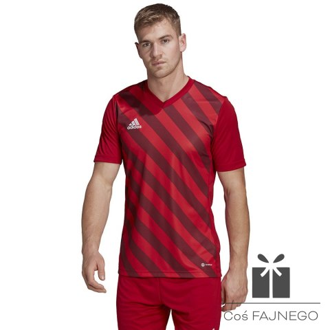 Koszulka adidas ENTRADA 22 GFX JSY HB0572, Rozmiar: XL