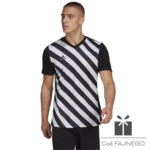 Koszulka adidas ENTRADA 22 GFX JSY HF0126, Rozmiar: XL