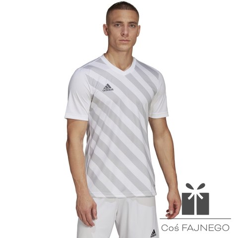 Koszulka adidas ENTRADA 22 GFX JSY HF0129, Rozmiar: XXL