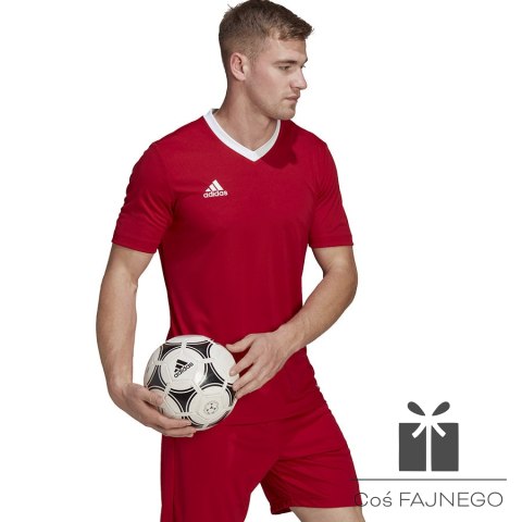 Koszulka adidas ENTRADA 22 JSY H61736, Rozmiar: M