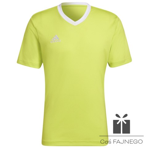 Koszulka adidas ENTRADA 22 JSY HC5077, Rozmiar: XL