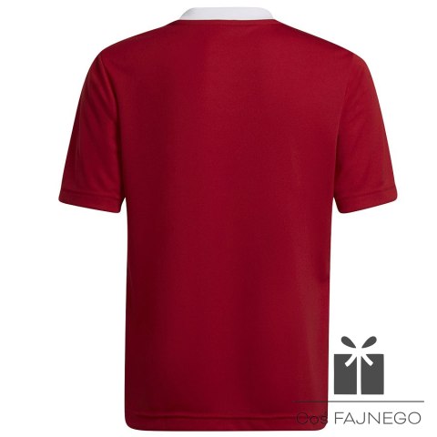 Koszulka adidas ENTRADA 22 JSY Y H57496, Rozmiar: 164 cm