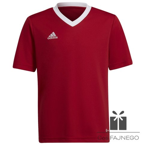 Koszulka adidas ENTRADA 22 JSY Y H57496, Rozmiar: 176 cm