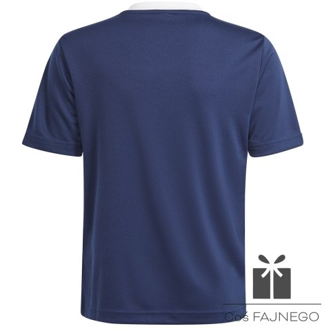 Koszulka adidas ENTRADA 22 JSY Y H57564, Rozmiar: 140 cm