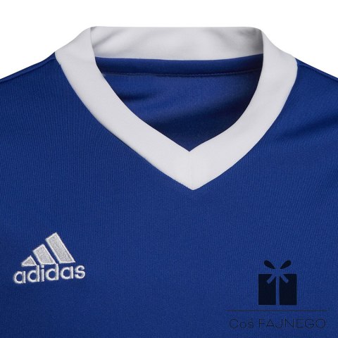 Koszulka adidas ENTRADA 22 JSY Y HG3948, Rozmiar: 128 cm