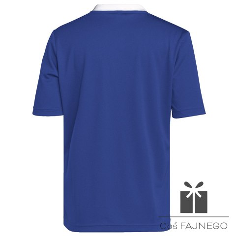 Koszulka adidas ENTRADA 22 JSY Y HG3948, Rozmiar: 176 cm