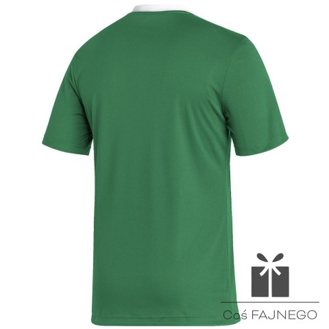 Koszulka adidas ENTRADA 22 JSY Y HI2123, Rozmiar: XXXL