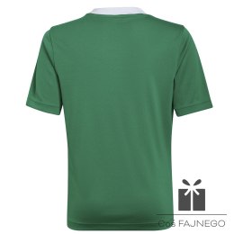 Koszulka adidas ENTRADA 22 JSY Y HI2126, Rozmiar: 128 cm