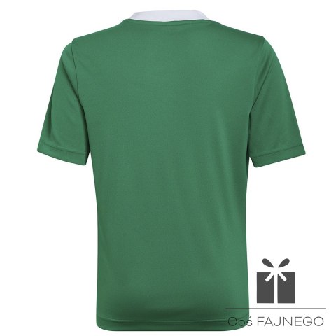 Koszulka adidas ENTRADA 22 JSY Y HI2126, Rozmiar: 140 cm