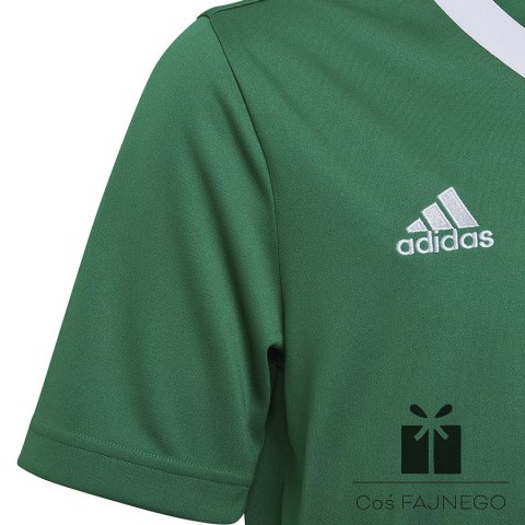 Koszulka adidas ENTRADA 22 JSY Y HI2126, Rozmiar: 152 cm