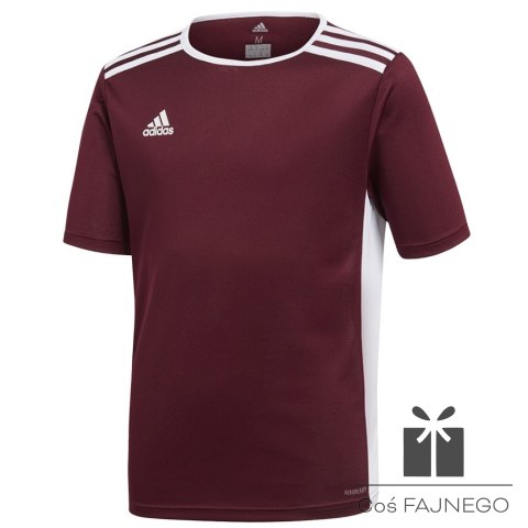 Koszulka adidas Entrada 18 JSY Y CE9564, Rozmiar: 128 cm