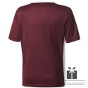 Koszulka adidas Entrada 18 JSY Y CE9564, Rozmiar: 128 cm
