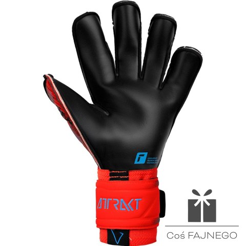 Rękawice Reusch Attrakt Gold X Evolution Cut 53 70 964 3333, Rozmiar: 11