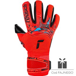 Rękawice Reusch Attrakt Duo 53 70 025 3333, Rozmiar: 9,5